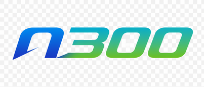 n300